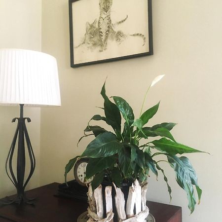 Panache Wildlife Cottage-Self Catering Hoedspruit Εξωτερικό φωτογραφία